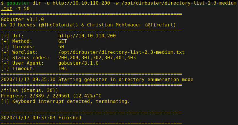 Gobuster Result